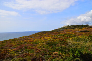 小学六年级英语翻译。加50分~~
