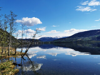 小学开学第一课安全教育教案设计