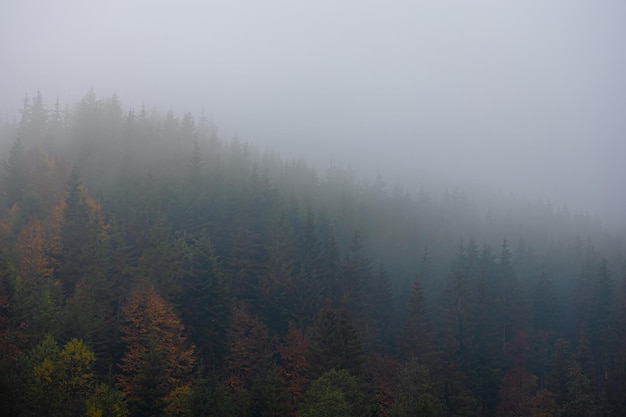 问候早安健康句子简短（热门60句）