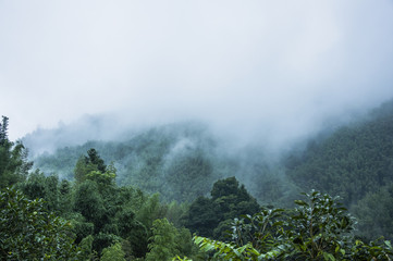 什么是中国古代儿童启蒙读物-